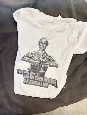 THE 36TH CHAMBER OF SHAOLIN